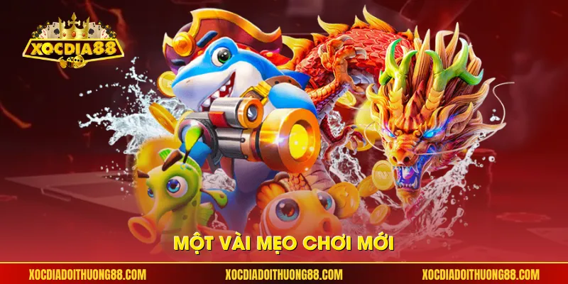 Một vài mẹo chơi mới